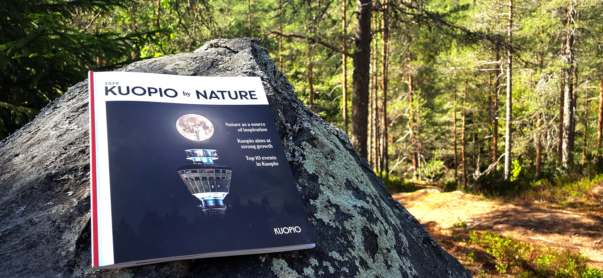 Kuopio by Nature kuvituskuva - lehti luontomaisemissa