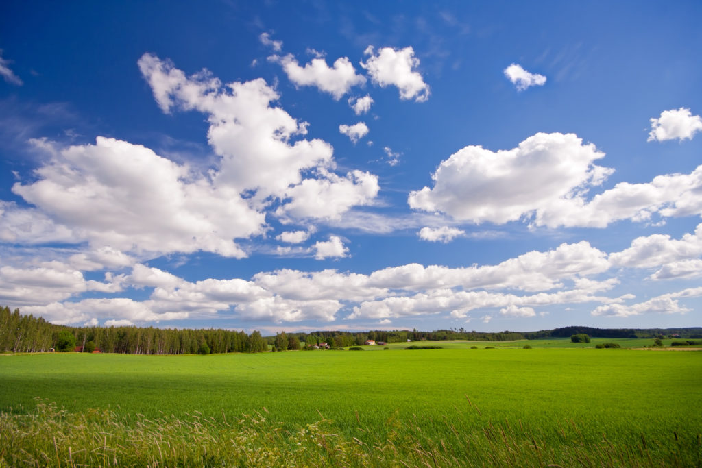 Green field and blue sky in countryside, Finland